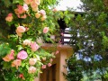 Продава КЪЩА, област Пловдив, с. Храбрино • 212000 € • 47399407 — Holmes.bg