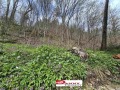 Продава КЪЩА, област Габрово, гр. Трявна • 85000 € / 166245.55 лв. • 67996775 5