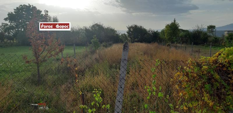 For Sale  Plot region Blagoevgrad , Bachevo , 530 sq.m | 95153456 - image [2]