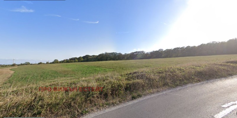 For Sale  Plot region Varna , Benkovski , 743 sq.m | 95780050 - image [2]