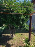 Продава КЪЩА, с. Преславци, област Силистра, снимка 5