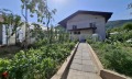 Продава КЪЩА, с. Томпсън, област София област, снимка 2