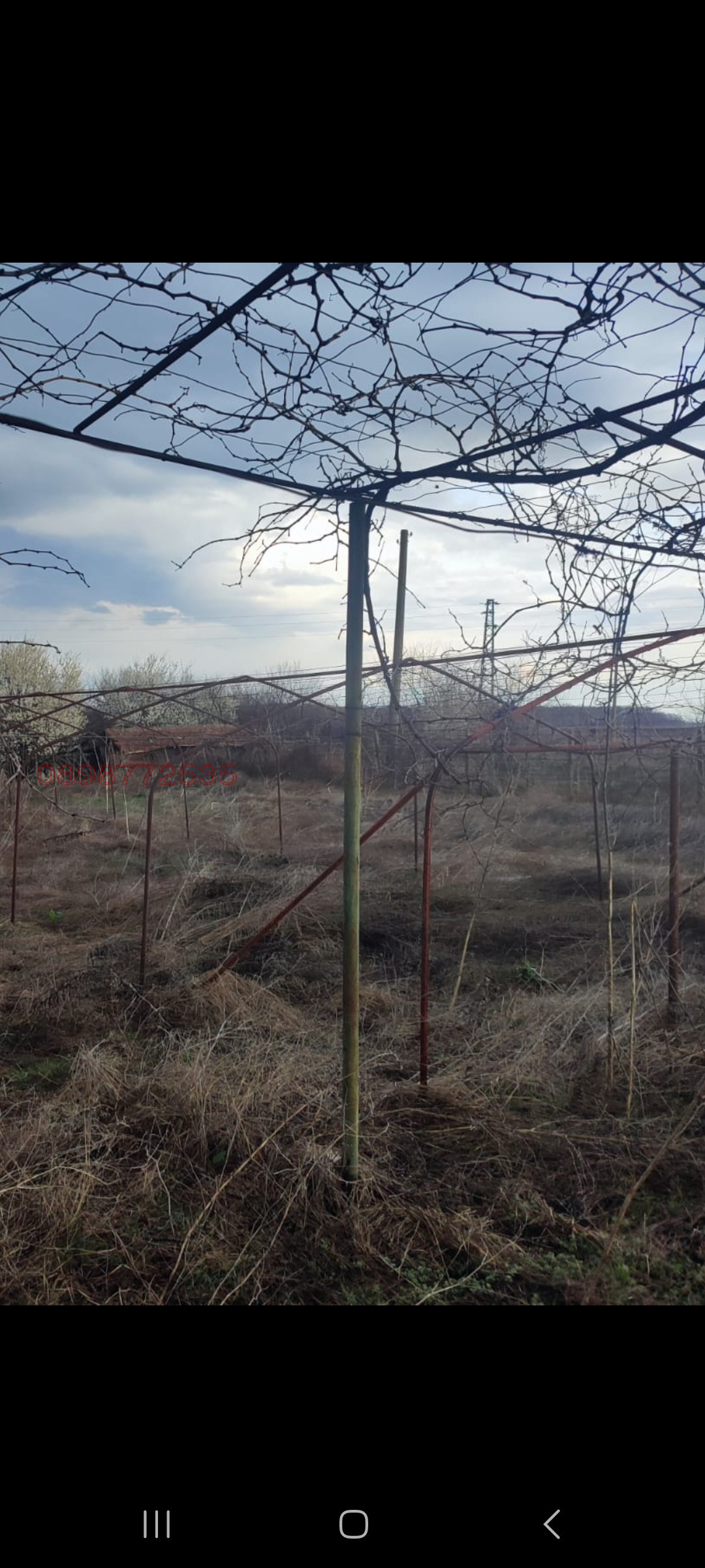 ������� ���� | Imot.bg � ����������� 17