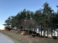 Продава ПАРЦЕЛ, област Благоевград, с. Обидим • 21000 € • 16087942 — Holmes.bg