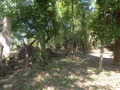 Продава ПАРЦЕЛ, област Ловеч, с. Балабанско • 36000 лв. • 61770516 — Holmes.bg