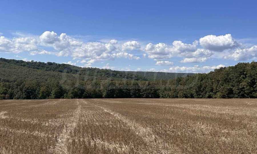 ������� ������ | Imot.bg � ����������� 1