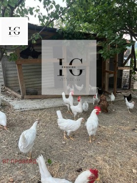   | Imot.bg    8
