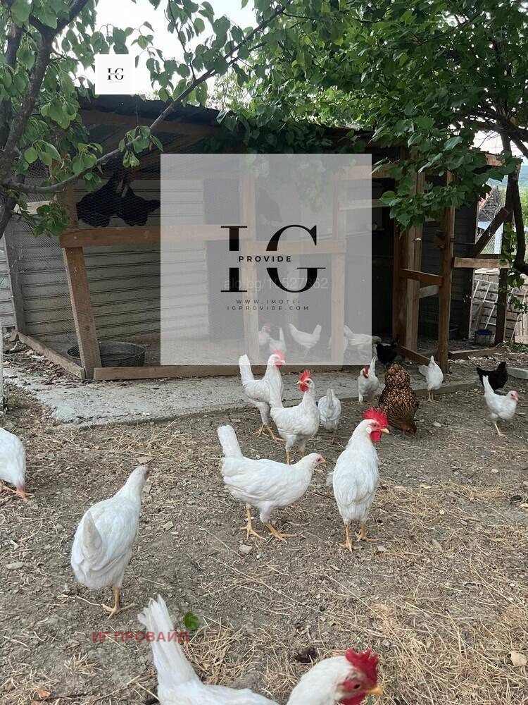 Til salgs  Villa region Burgas , Ajtos , 40 kvm | 29097522 - bilde [8]