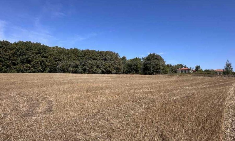 Продава ПАРЦЕЛ, с. Юнец, област Варна, снимка 3 - Парцели - 52991468