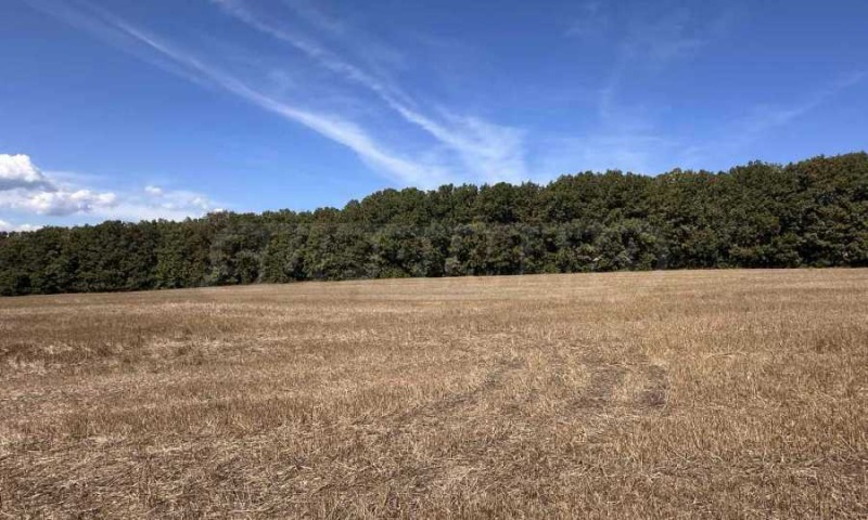 Продава ПАРЦЕЛ, с. Юнец, област Варна, снимка 6 - Парцели - 52991468