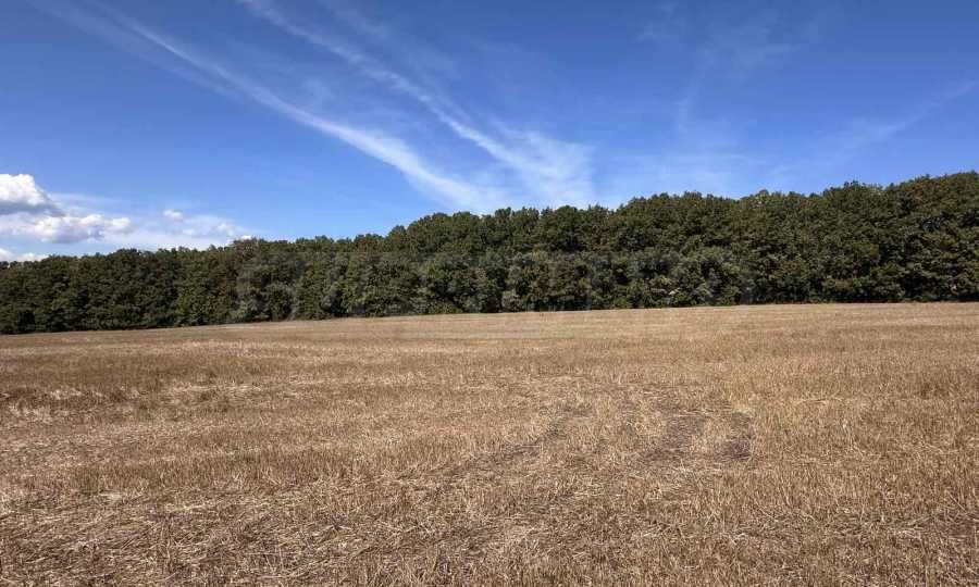 Продава ПАРЦЕЛ, с. Юнец, област Варна, снимка 5 - Парцели - 52991468