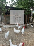 Продава ВИЛА, област Бургас, гр. Айтос • 52000 € • 73776801 — Holmes.bg