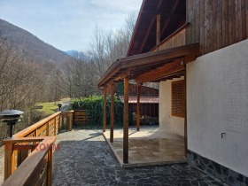 ����� ������� ����,�. ������, ������ �����