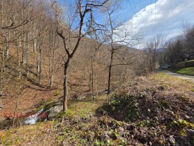 ������� ���� | Imot.bg � ����� ������ 17