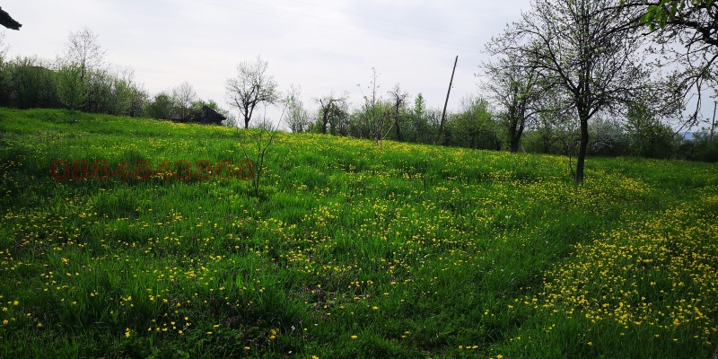 Продава ПАРЦЕЛ, гр. Елена, област Велико Търново, снимка 7 - Парцели - 53347715