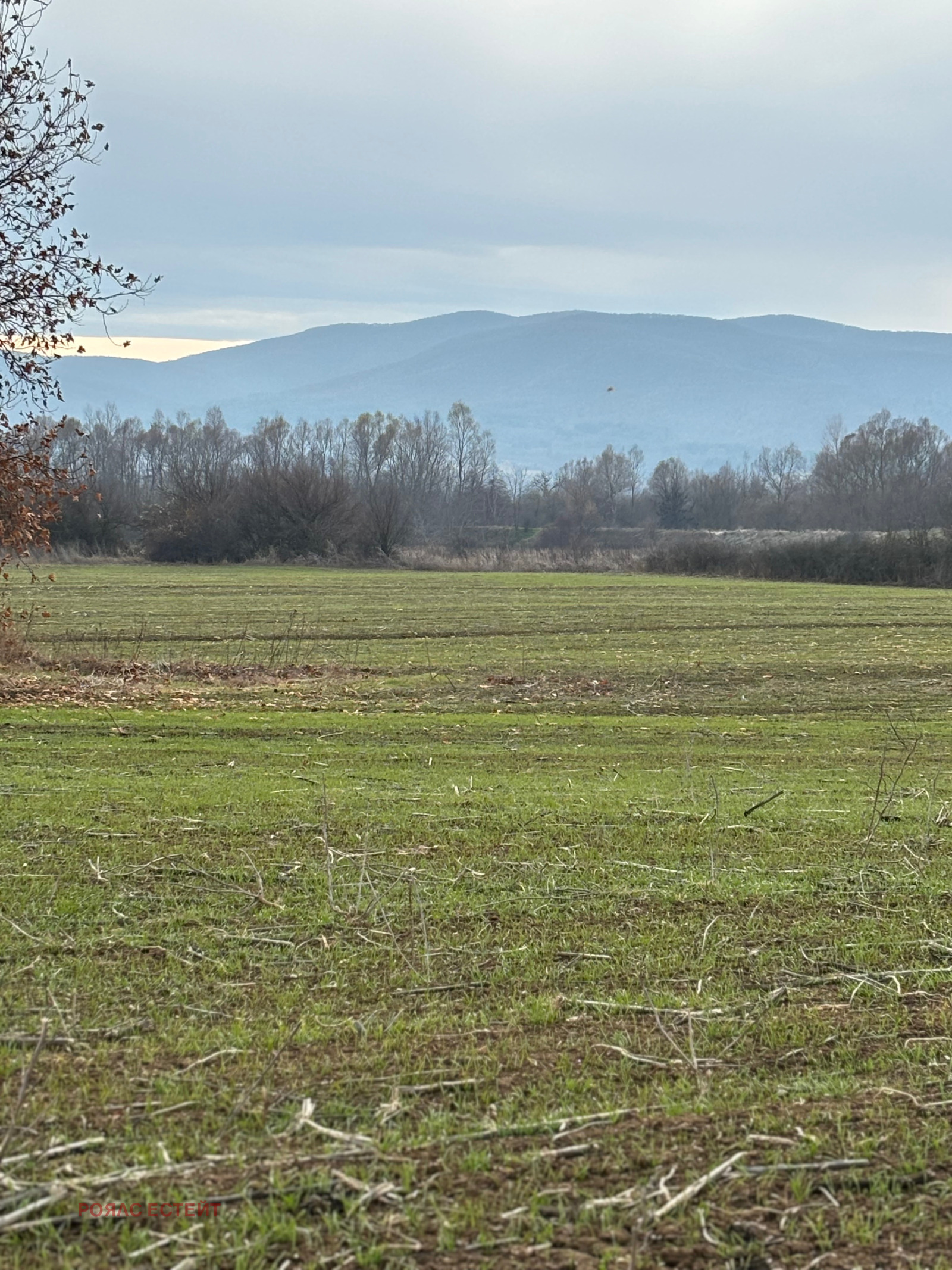 Продава ПАРЦЕЛ | Imot.bg — изображение 7