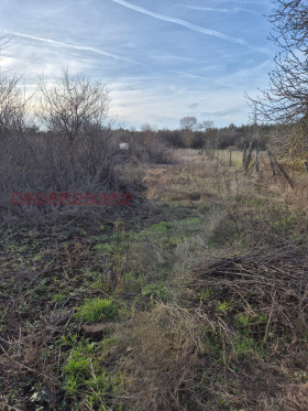 ������� ������ | Imot.bg � ����� ������ 12