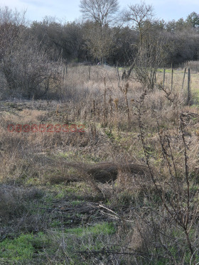 ������� ������ | Imot.bg � ����� ������ 11