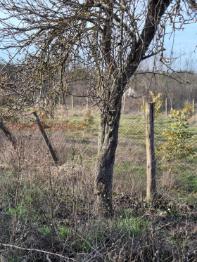 ������� ������ | Imot.bg � ����� ������ 8