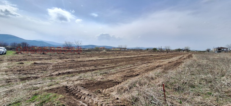 In vendita  Complotto regione Plovdiv , Markovo , 600 mq | 67276201 - Immagine [6]