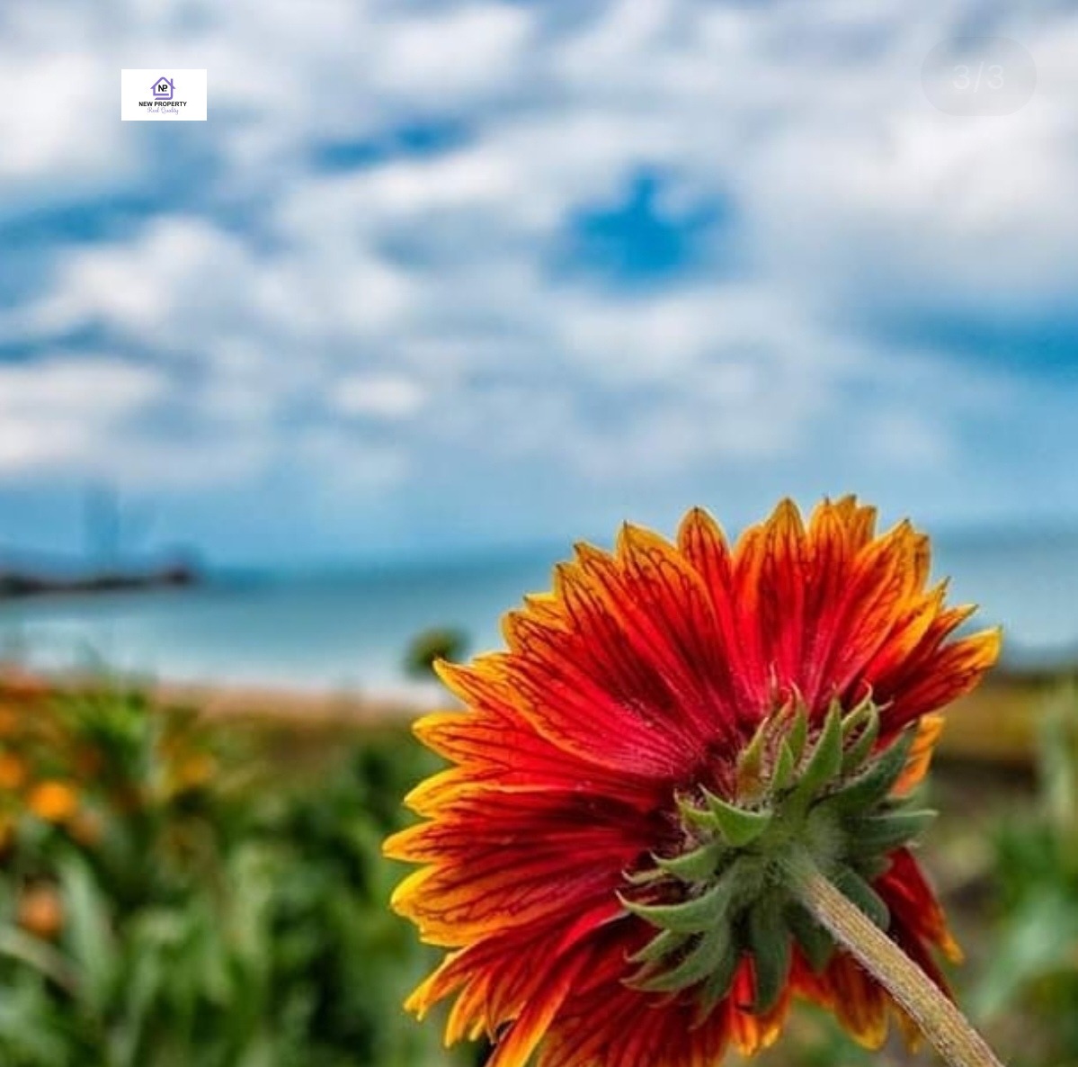 ������� ���������� | Imot.bg � ����������� 3