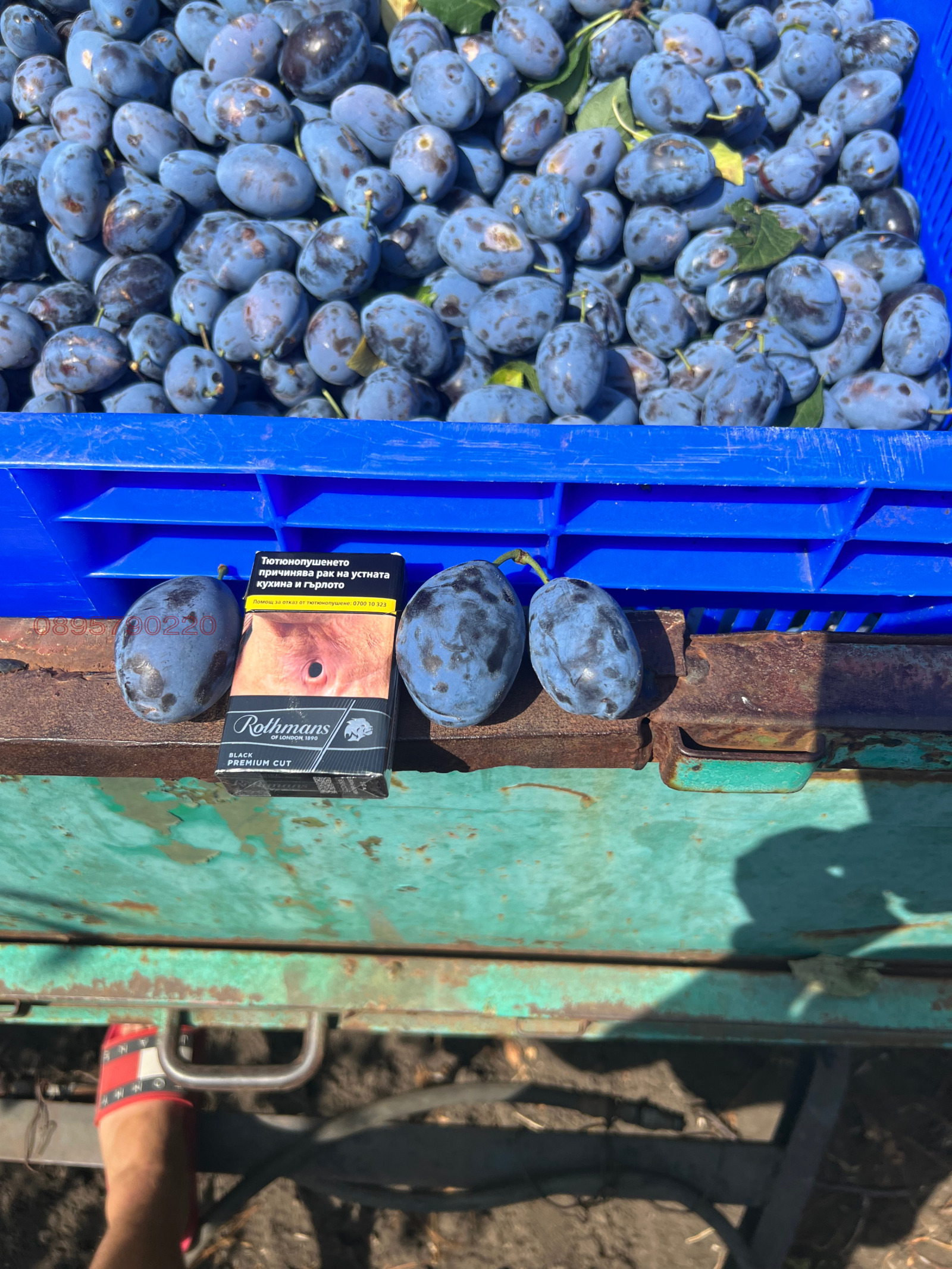 ������� ���������� ���� | Imot.bg � ����������� 4