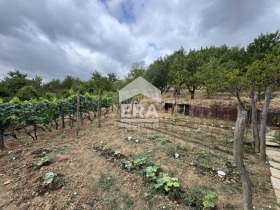 ������� ������ | Imot.bg � ����� ������ 5