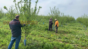 ������� ���������� ���� | Imot.bg � ����� ������ 5