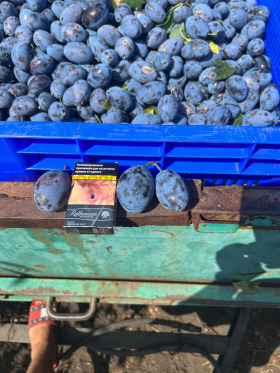 ������� ���������� ���� | Imot.bg � ����� ������ 3