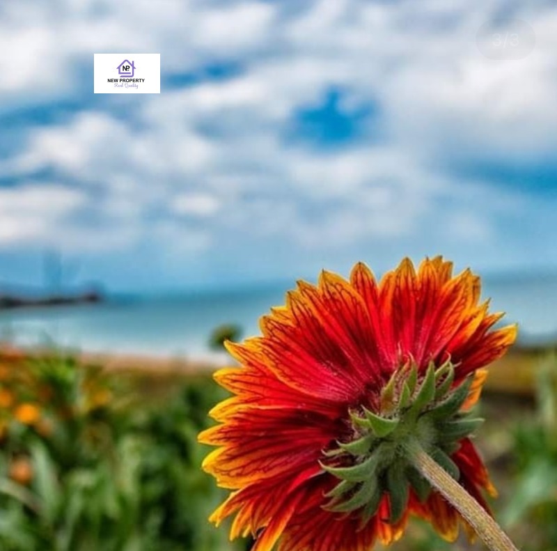 Продава МНОГОСТАЕН, гр. Созопол, област Бургас, снимка 2 - Апартаменти - 53149062