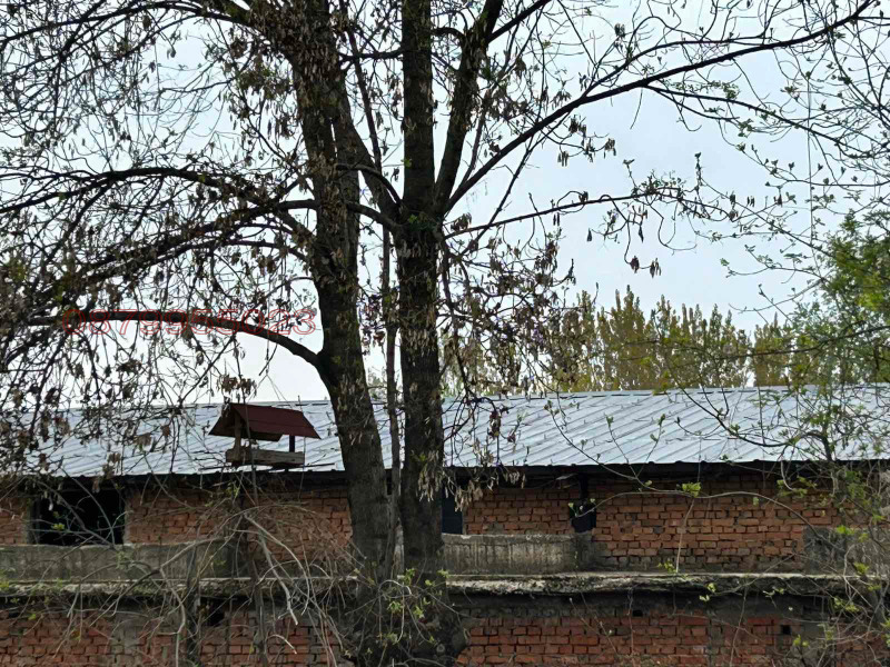 Продава ПРОМ. ПОМЕЩЕНИЕ, гр. Лом, област Монтана, снимка 4 - Производствени сгради - 52784870