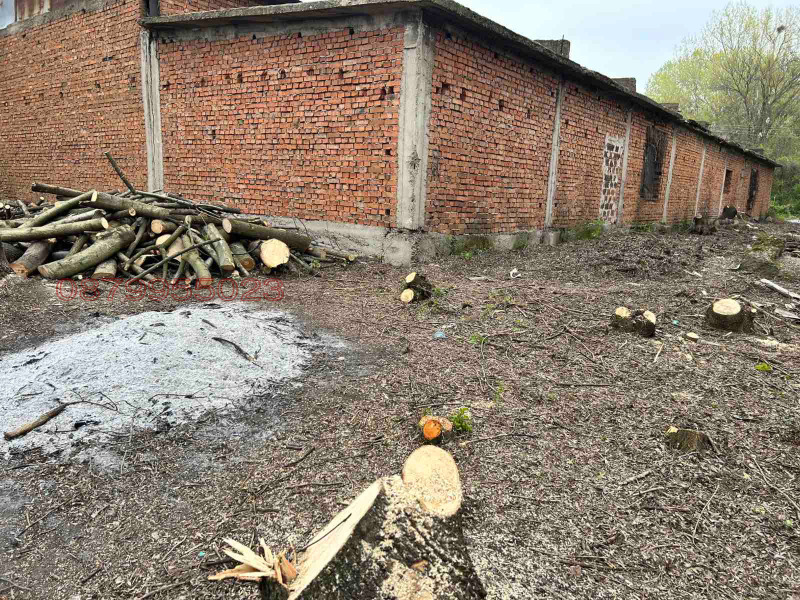 Продава ПРОМ. ПОМЕЩЕНИЕ, гр. Лом, област Монтана, снимка 10 - Производствени сгради - 52784870