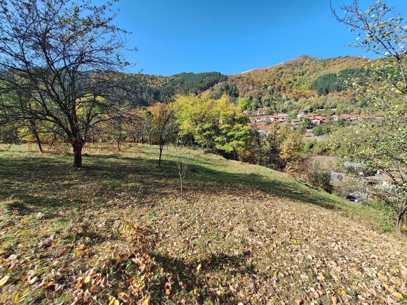 Продава ПАРЦЕЛ, гр. Троян, област Ловеч, снимка 8 - Парцели - 52780629