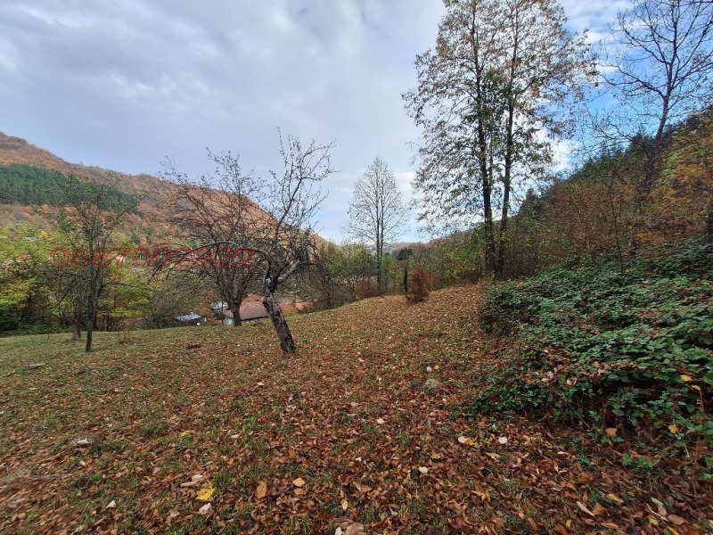 Продава ПАРЦЕЛ, гр. Троян, област Ловеч, снимка 4 - Парцели - 52780629