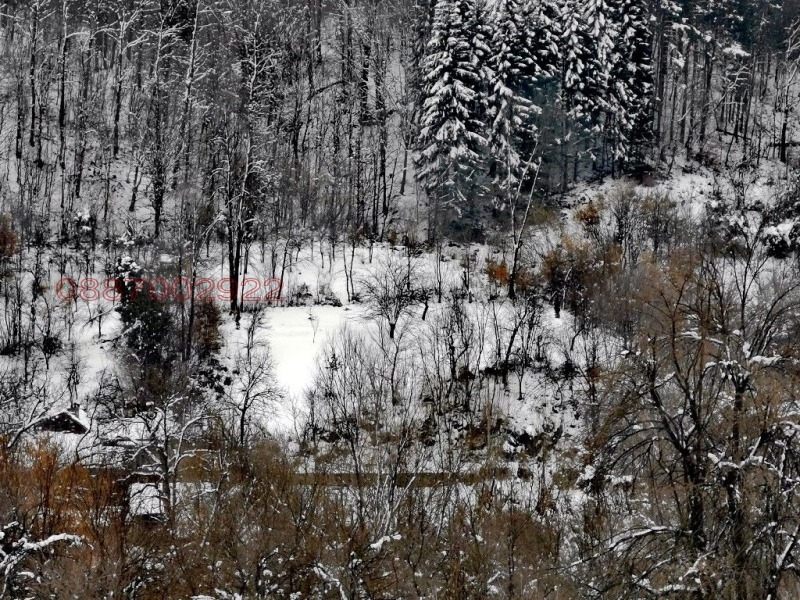 Продава ПАРЦЕЛ, гр. Троян, област Ловеч, снимка 7 - Парцели - 52780629