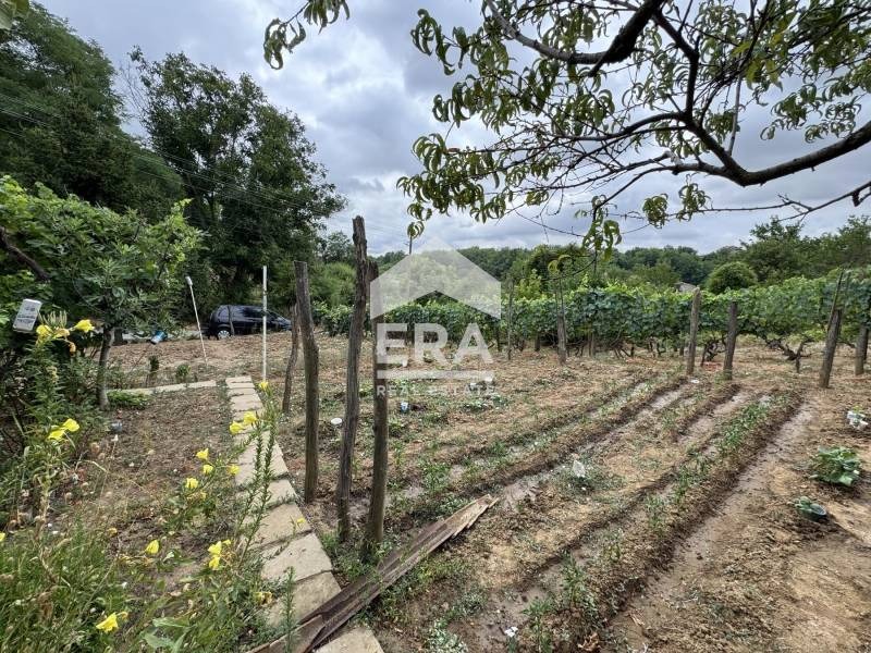 Продава ПАРЦЕЛ, с. Калипетрово, област Силистра, снимка 4 - Парцели - 53368056