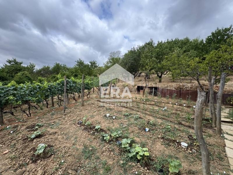 Продава ПАРЦЕЛ, с. Калипетрово, област Силистра, снимка 5 - Парцели - 53368056