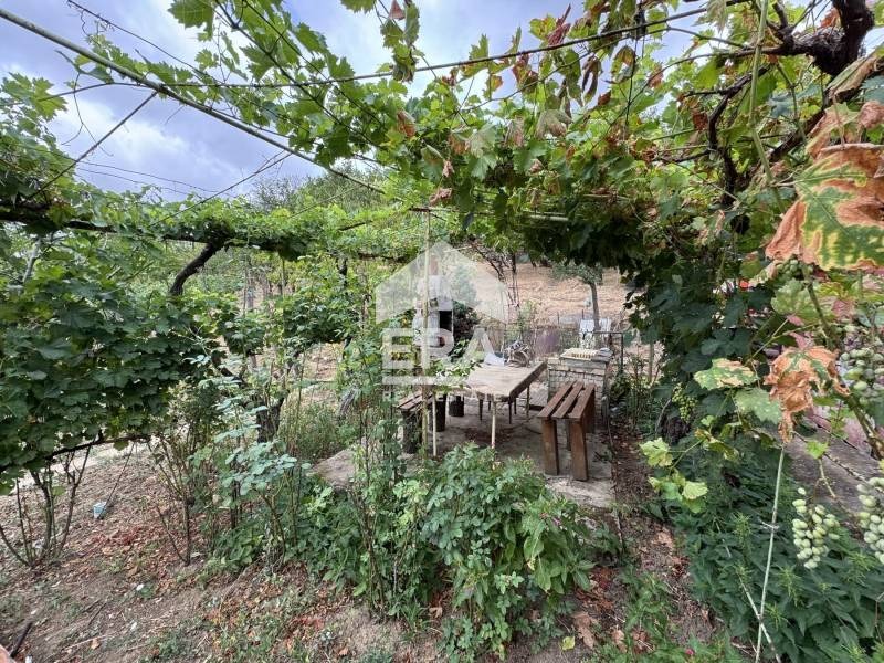 Продава ПАРЦЕЛ, с. Калипетрово, област Силистра, снимка 6 - Парцели - 53368056