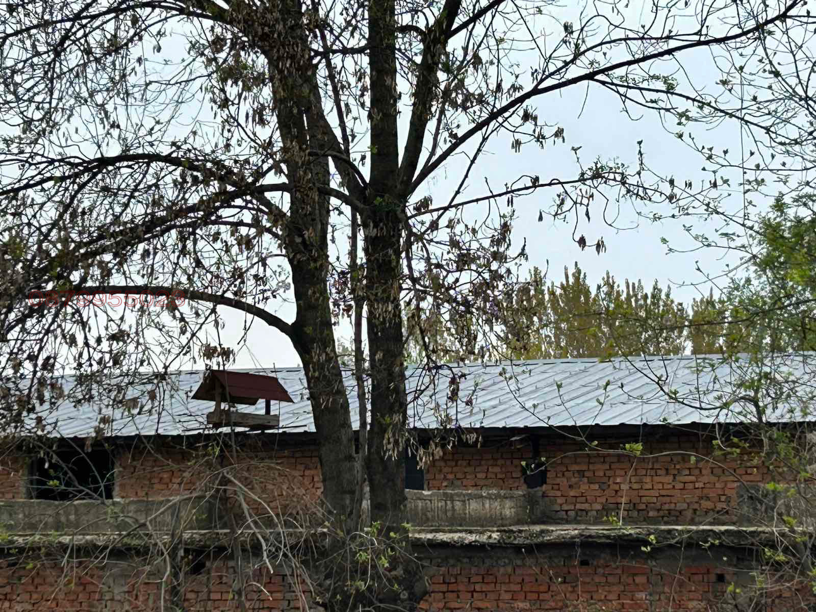 Продава ПРОМ. ПОМЕЩЕНИЕ, гр. Лом, област Монтана, снимка 4 - Производствени сгради - 53642529