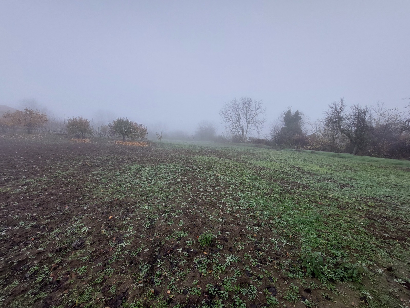 ������� ���� | Imot.bg � ����������� 16