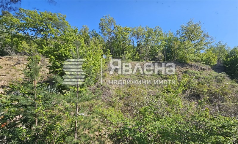 Продава 3-СТАЕН, гр. Свети Влас, област Бургас, снимка 10 - Апартаменти - 54059334