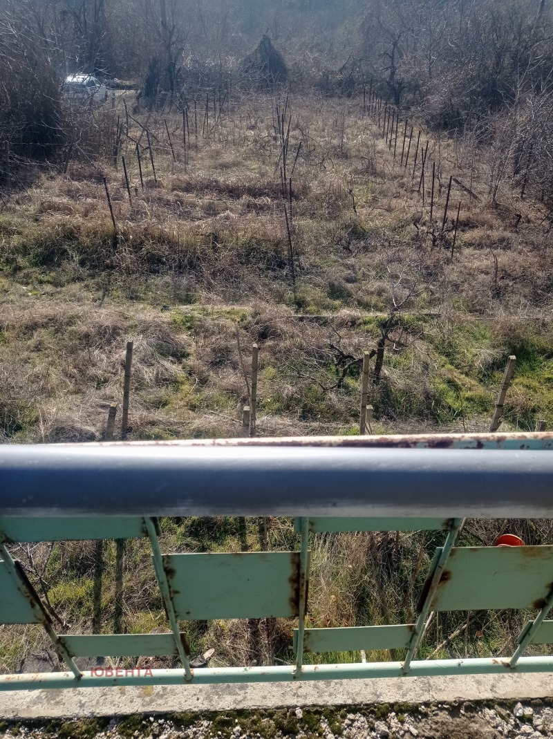 Продава ВИЛА, гр. Русе, област Русе, снимка 2 - Вили - 53084471