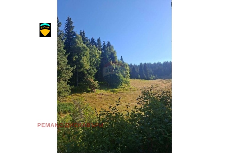 À vendre  Parcelle région Smolyan , Sokolovtsi , 1569 m² | 22466192 - image [2]