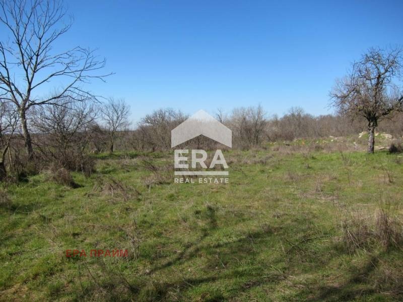 Продава ПАРЦЕЛ, с. Кривня, област Варна, снимка 4 - Парцели - 55328579