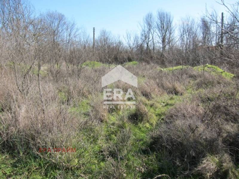 Продава ПАРЦЕЛ, с. Кривня, област Варна, снимка 9 - Парцели - 55328579
