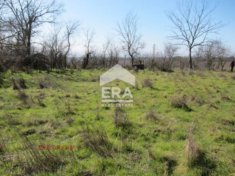 Продава ПАРЦЕЛ, с. Кривня, област Варна, снимка 3 - Парцели - 55328579