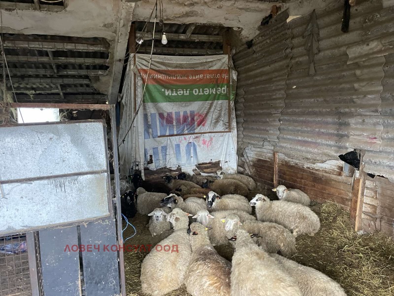 Продава БИЗНЕС ИМОТ, с. Българене, област Ловеч, снимка 3 - Други - 52085000