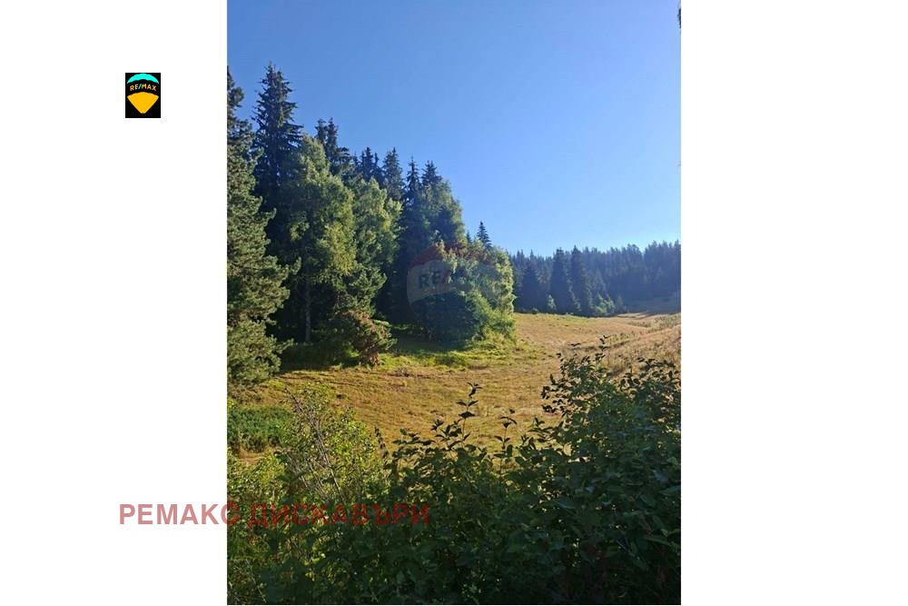 Продава ПАРЦЕЛ, с. Соколовци, област Смолян, снимка 2 - Парцели - 54744765