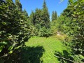 Продава ЗАВЕДЕНИЕ, гр. Троян, област Ловеч, снимка 14