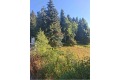 Продава ПАРЦЕЛ, с. Соколовци, област Смолян, снимка 1